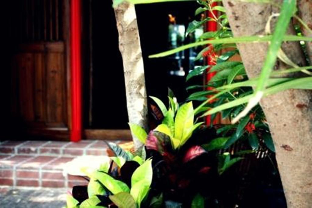 Rainforest Bed & Breakfast Kuala Lumpur Kültér fotó