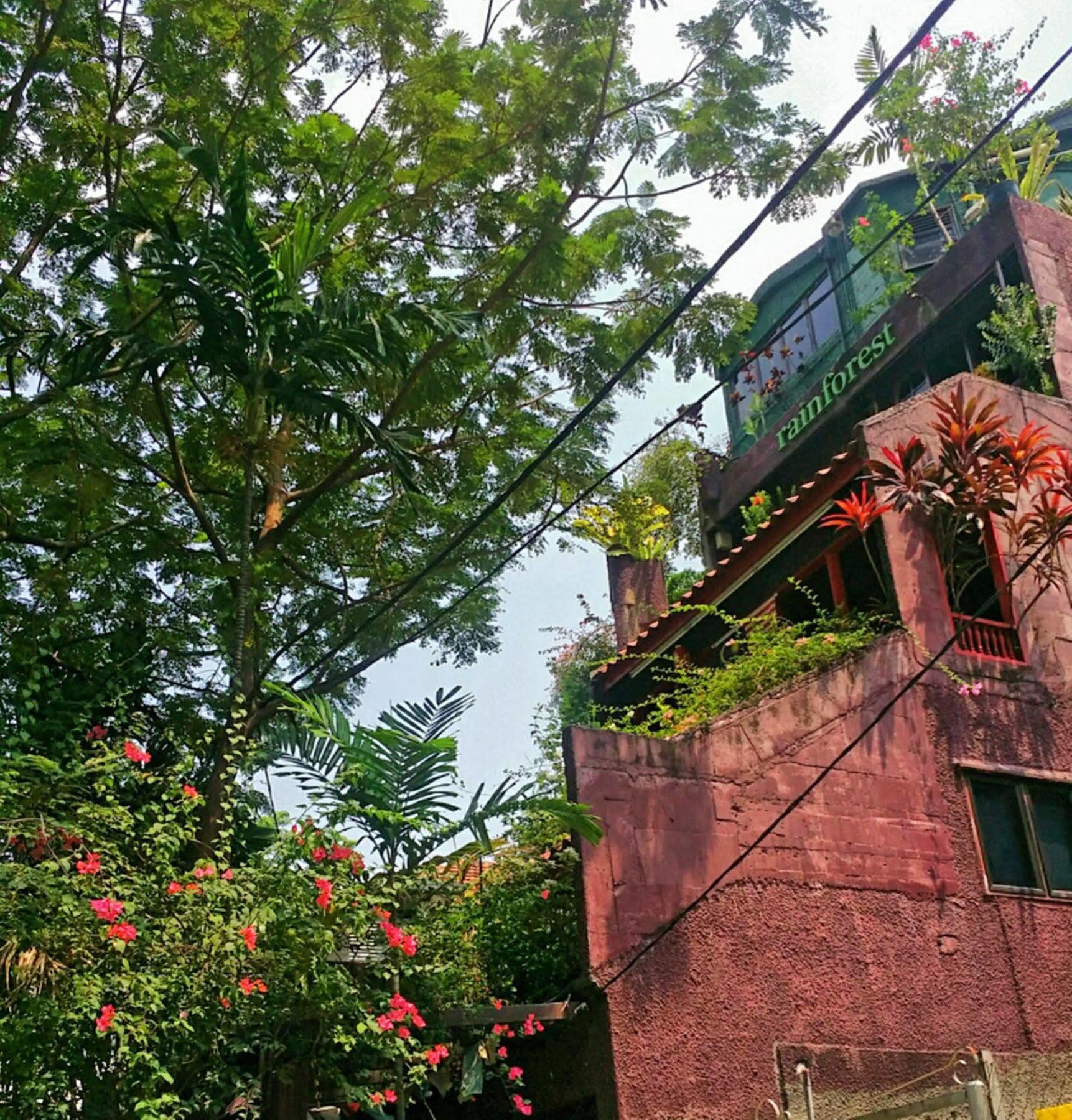 Rainforest Bed & Breakfast Kuala Lumpur Kültér fotó