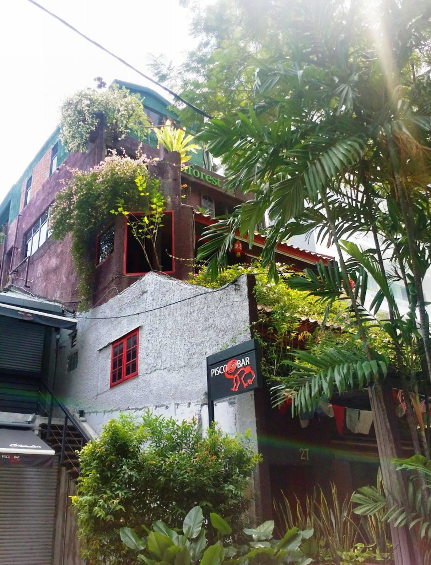 Rainforest Bed & Breakfast Kuala Lumpur Kültér fotó