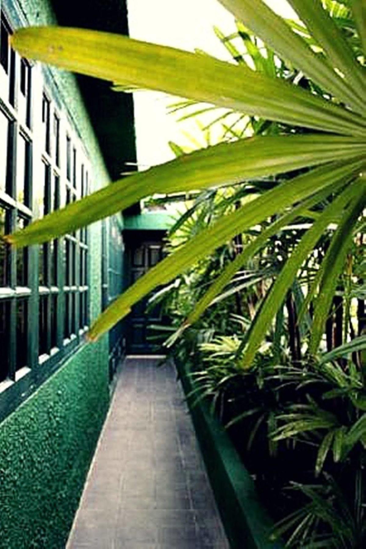 Rainforest Bed & Breakfast Kuala Lumpur Kültér fotó